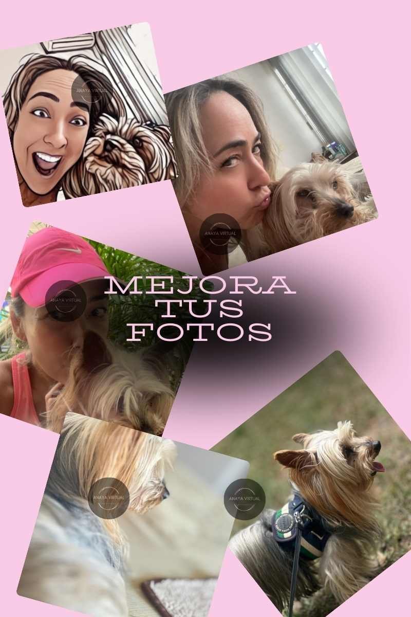 Cómo Mejorar la Calidad de las Fotos en Instagram Blog-como-mejorar-fotos-instagram-1